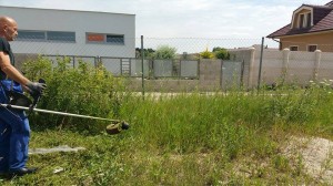 10151660_1010049549007844_480927595_n