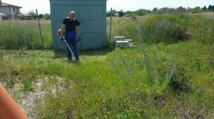 10531056_1010049692341163_175446832_n