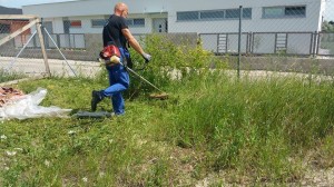 10595906_1010049585674507_1891716904_n