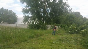 11093901_1003598586319607_758400841_n