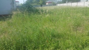 11117360_1003598642986268_388718235_n