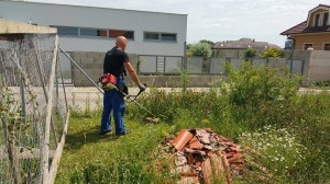 11124869_1010049382341194_216076431_n